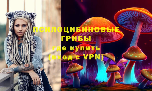 индика Абинск